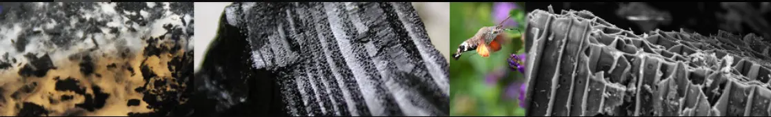 European Biochar Certificate (EBC)