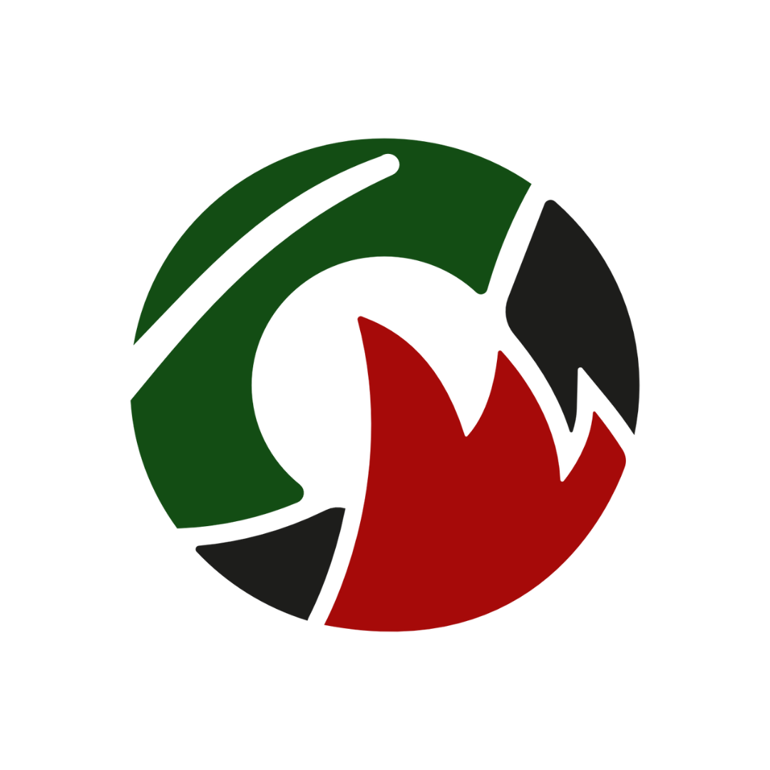 logo Recycoal