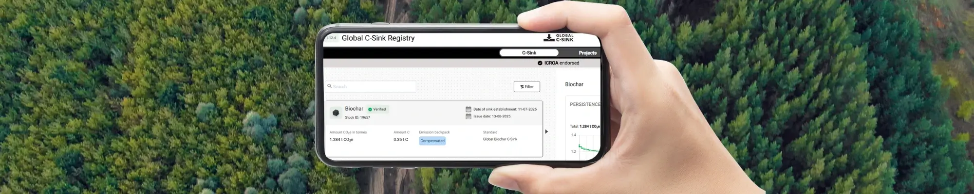 The Global C-Sink Registry