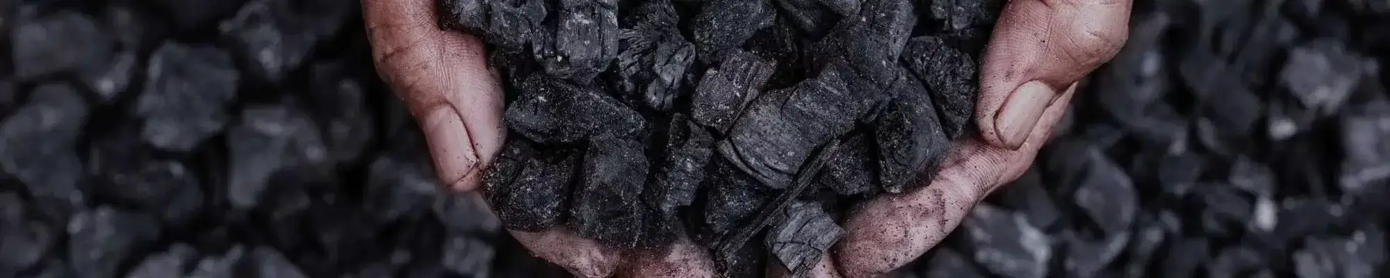 Biochar Tool