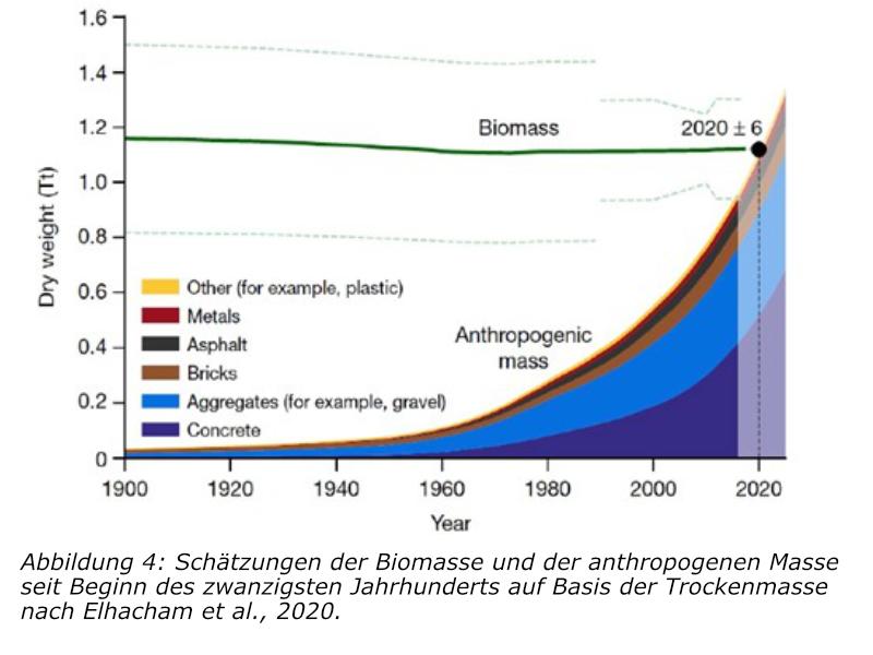 Schätzung Biomasse