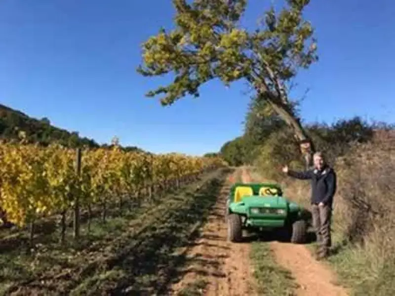 Daniel Wyss, ecologist and winemaker consultant at Delinat