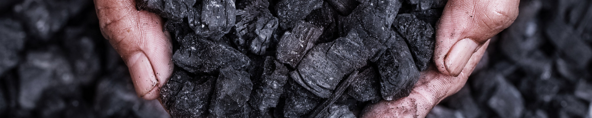 Biochar Tool