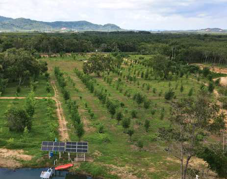 What happens when an agricultural waste problem becomes part of the solution to restoring degraded land? 